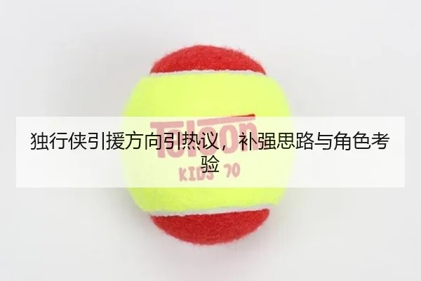 独行侠引援方向引热议，补强思路与角色考验